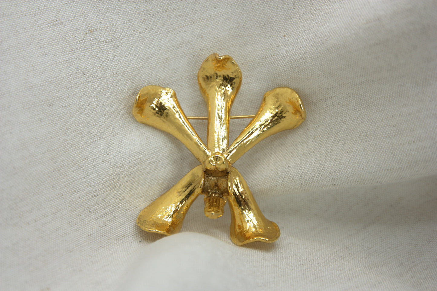 iris